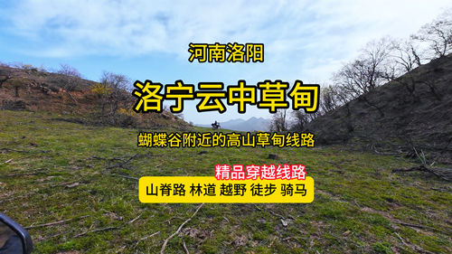 洛宁云中草甸-河南洛阳露营看日出线路