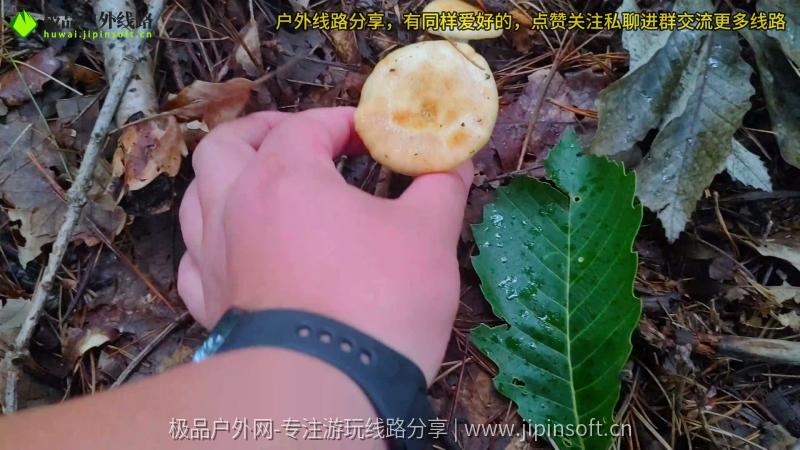 阳城县大罗岭线路风景 (4)