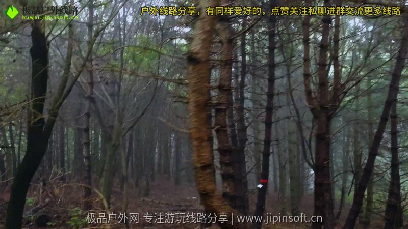 阳城县大罗岭线路风景 (3)